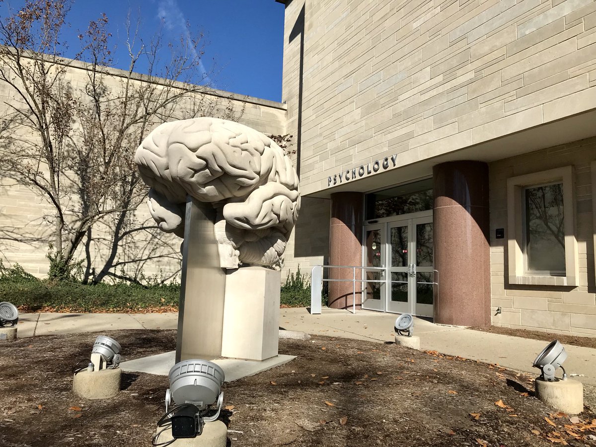 Brain Sculpture