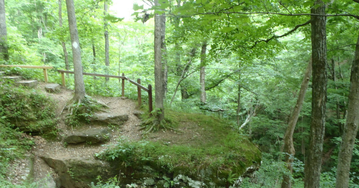 Hoosier National Forest