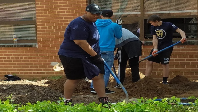 Students at Mount Vernon High School build garden to support food pantry