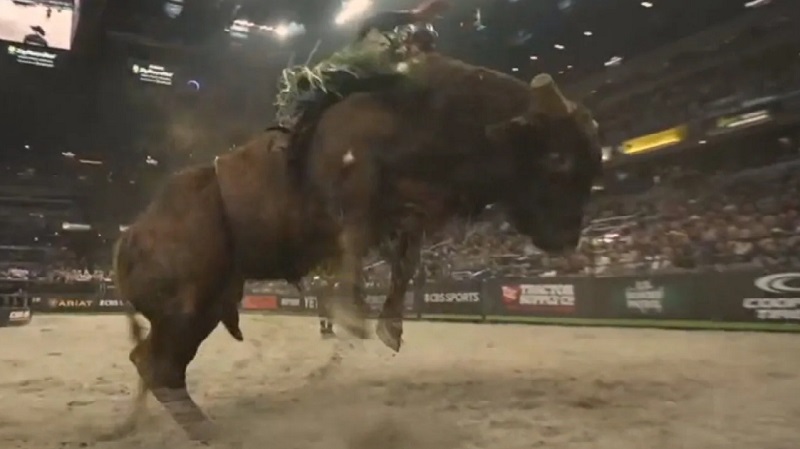 Gainbridge Fieldhouse hosted professional bull riders