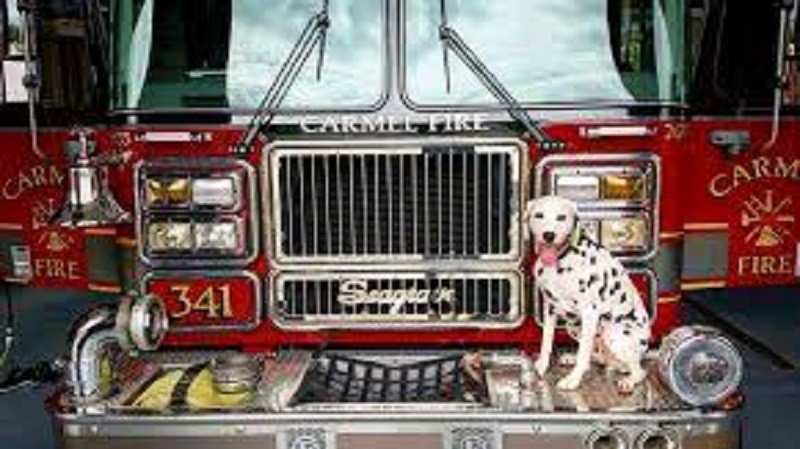 In a field where men predominate, women in the Carmel Fire Department excellent