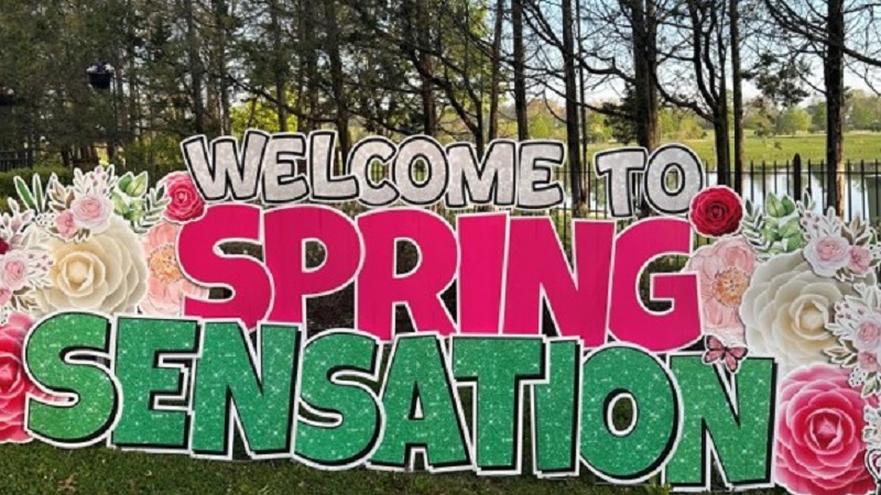 Spring Sensation brings together female small business owners