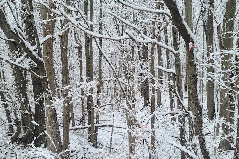 Start at the Nature Center for your Story Walk journey to get information from the naturalist on where to begin your hike onto Peppermint Loop, state officials say