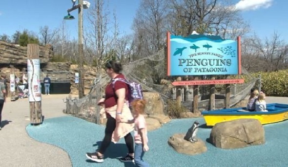 Mesker Park Zoo & Botanic Garden Gears Up for Spring Season